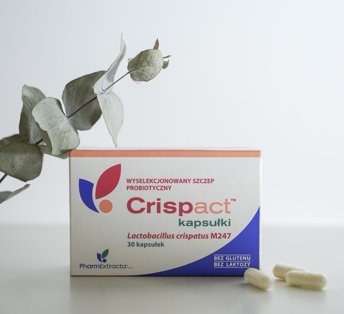Crispact kapsułki